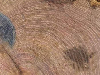 Illustration de 