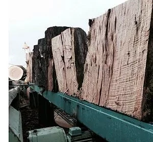 Au sein de la merranderie Barraud : transformationle du haut de la bille du (…)