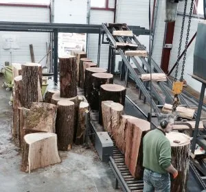 Illustration de Arrivage des bois en différentes hauteurs pour le passage à la fendeuse